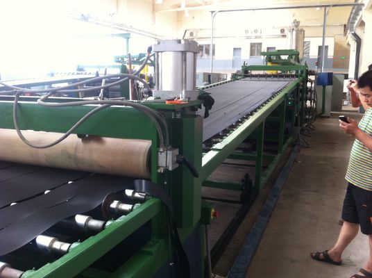 Monolayer Geo Cell Line for Sheet Width 600-1500mm Package Size 500.00cm * 250.00cm * 200.00cm Monolayer Growth Properties