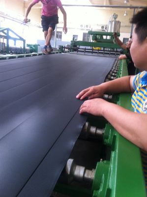 Human Organism Geo Cell Service Line Within 1-3mm Sheet Thickness