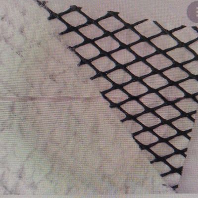 Technician Support for Plastic Geo Net Machine Installation and Training for Geonet Breeding Decoration Garden Fence