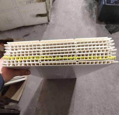 Customizable 300mm PVC WPC wall panel extrusion line as Requirement