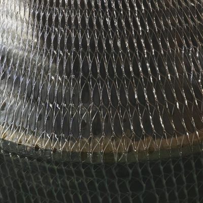 3D PE Geo Net Production Line Separate Type Plastic Extruders Machine